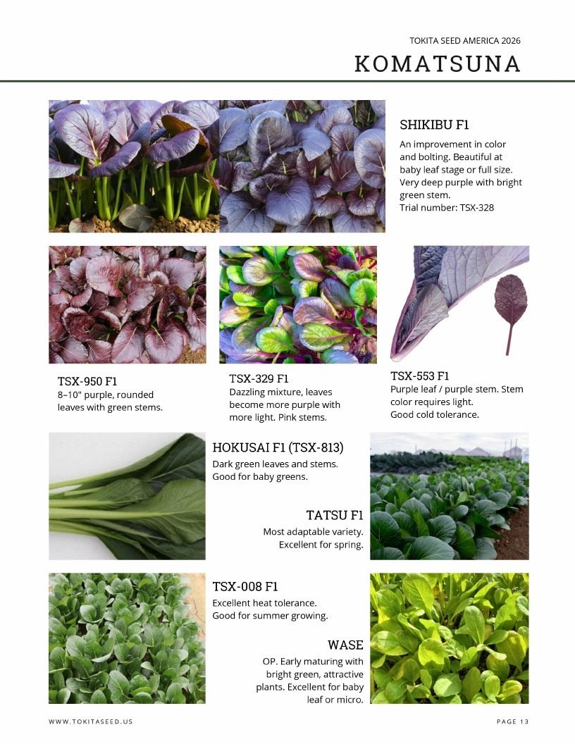 Tokita Seed America Seed Catalog Weekly Ad January 1 - December 31, 2026