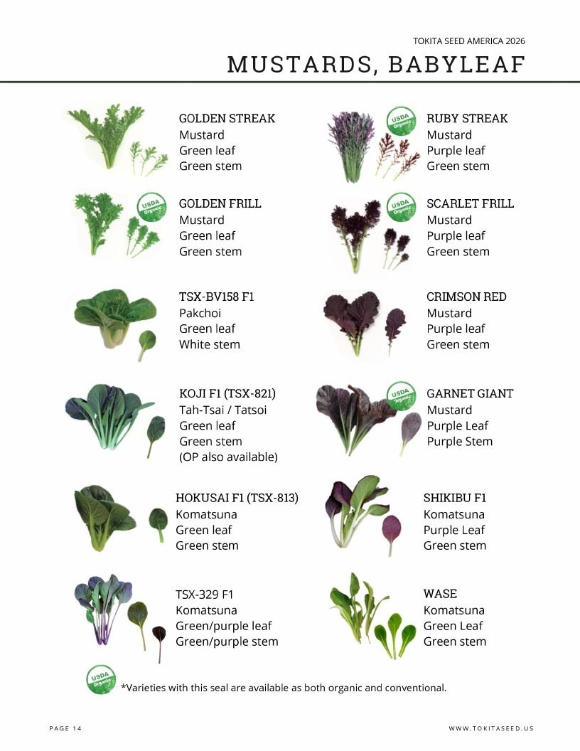 Tokita Seed America Seed Catalog Weekly Ad January 1 - December 31, 2026
