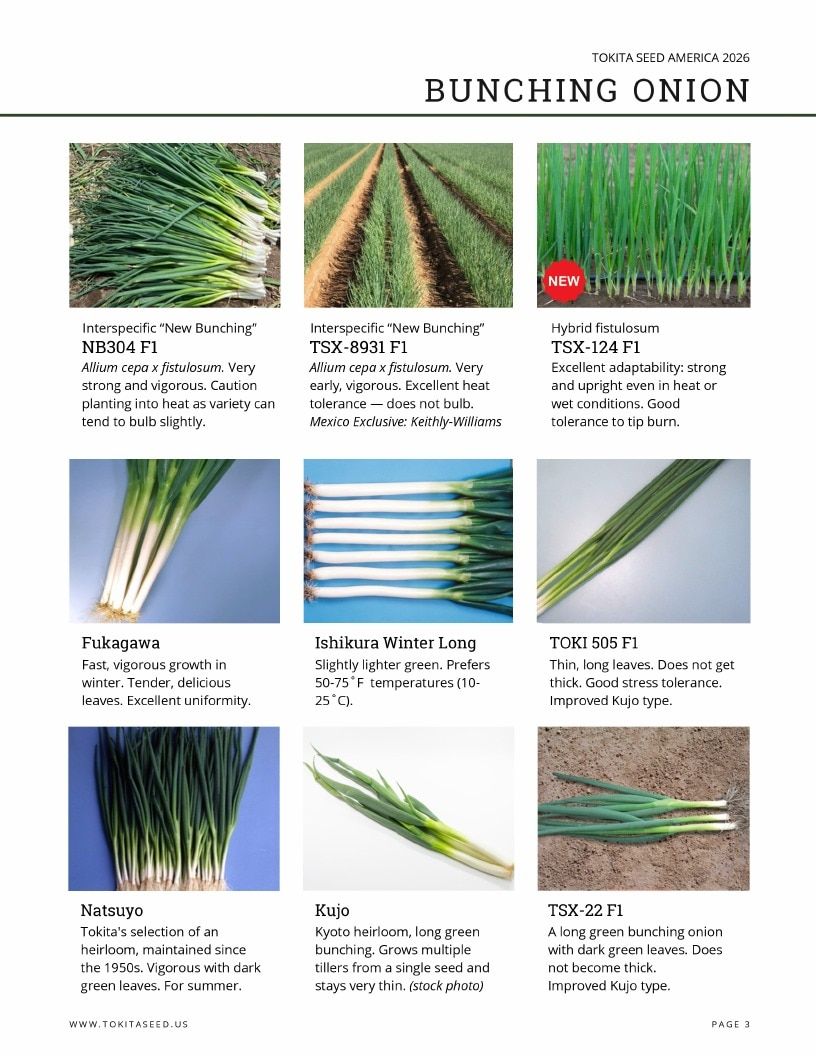 Tokita Seed America Seed Catalog Weekly Ad January 1 - December 31, 2026