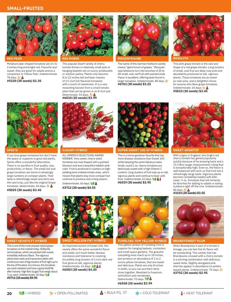 Tomato Growers Supply Company Seed Catalog Weekly Ad January 1 - December 31, 2026
