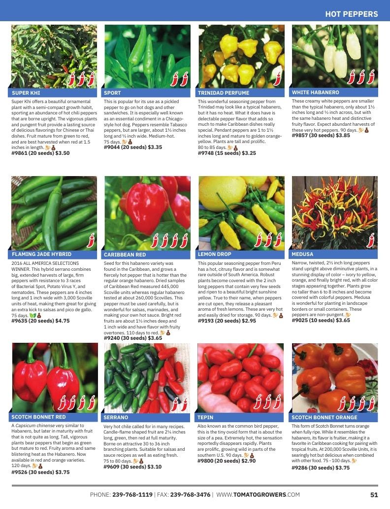Tomato Growers Supply Company Seed Catalog Weekly Ad January 1 - December 31, 2026