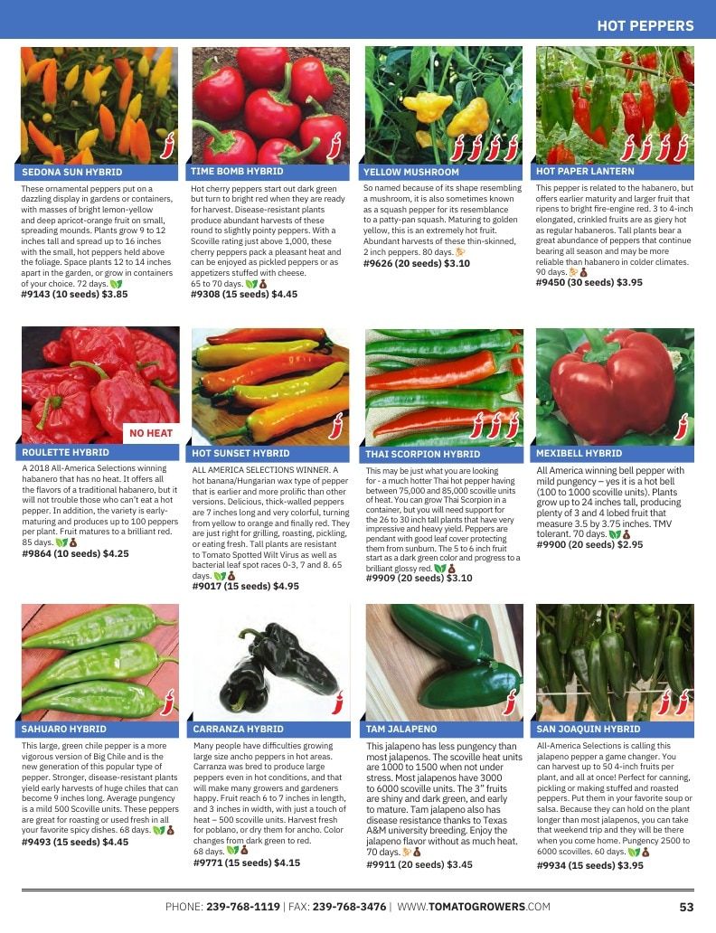Tomato Growers Supply Company Seed Catalog Weekly Ad January 1 - December 31, 2026
