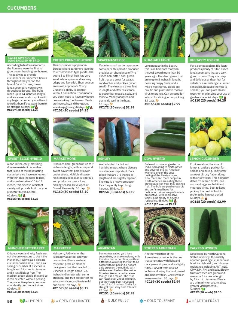 Tomato Growers Supply Company Seed Catalog Weekly Ad January 1 - December 31, 2026