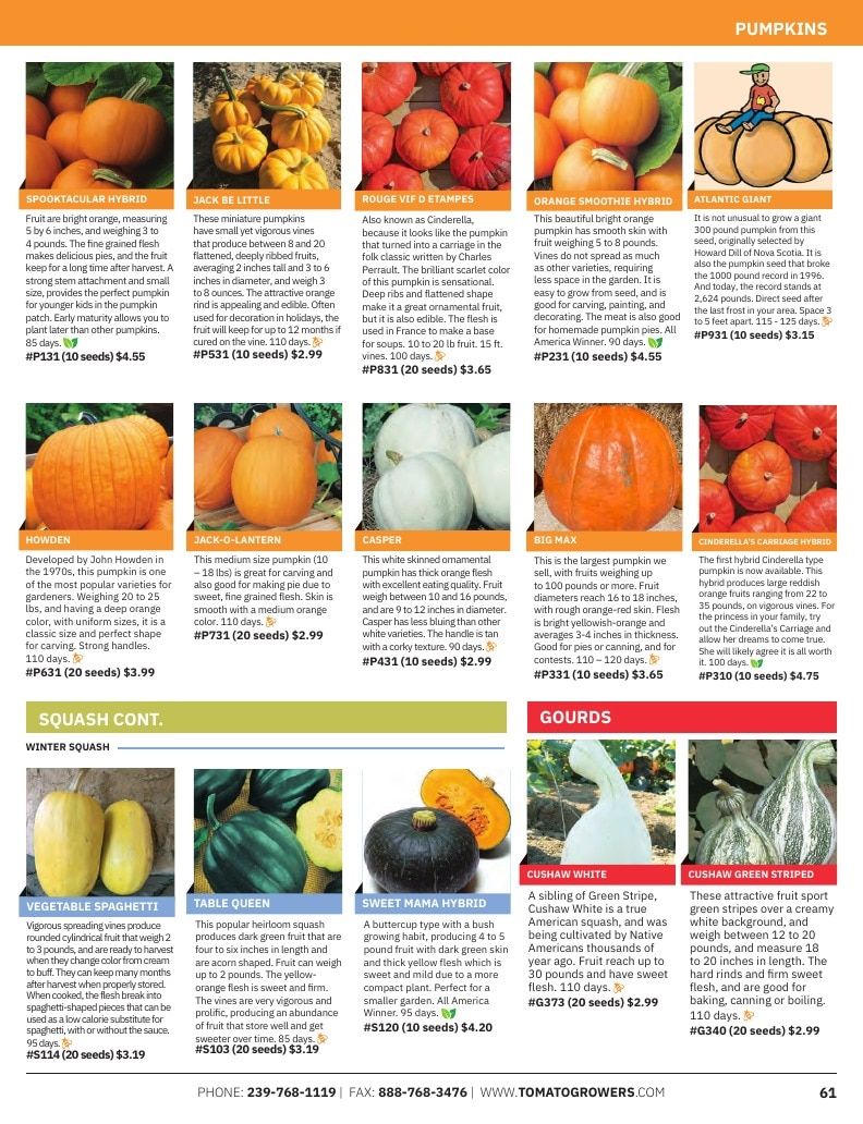 Tomato Growers Supply Company Seed Catalog Weekly Ad January 1 - December 31, 2026