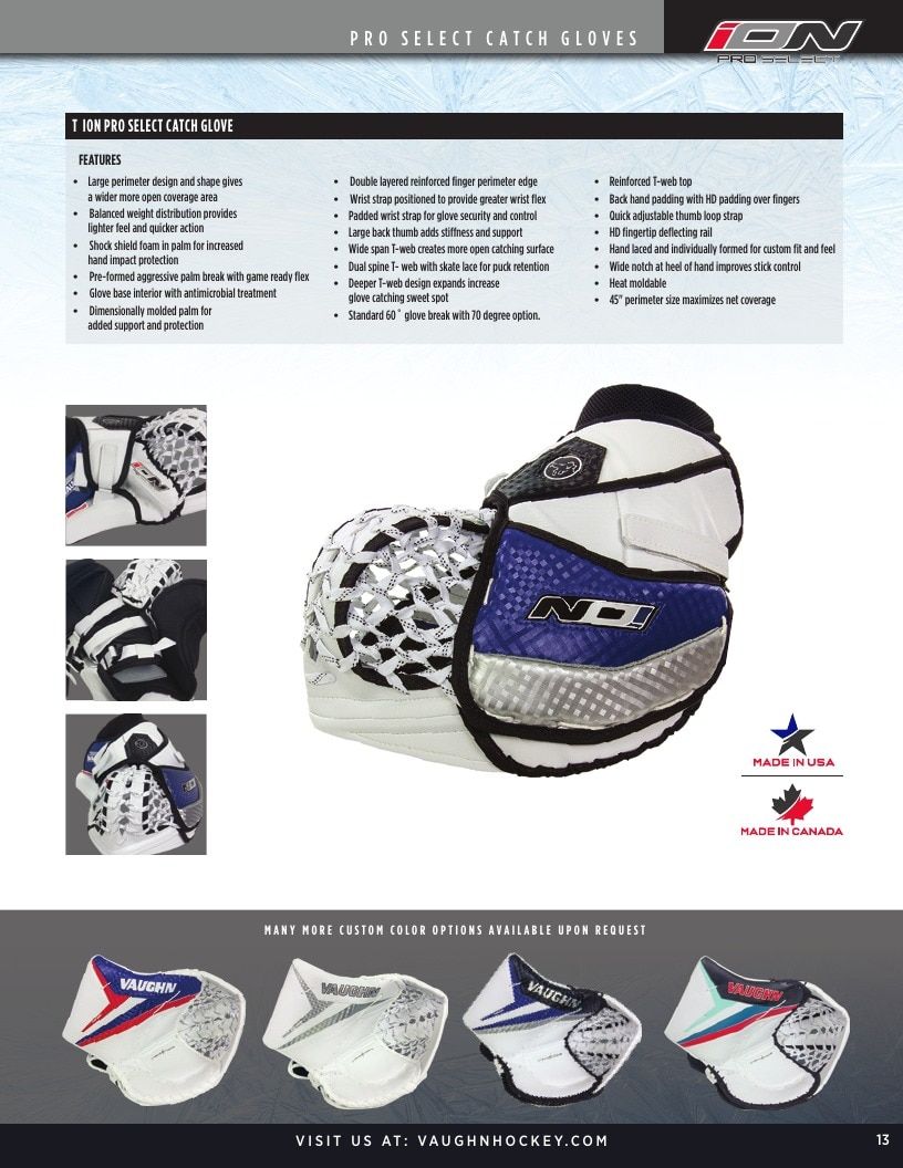 Vaughn Hockey Goalie Gear Catalog Weekly Ad January 1 - December 31, 2026