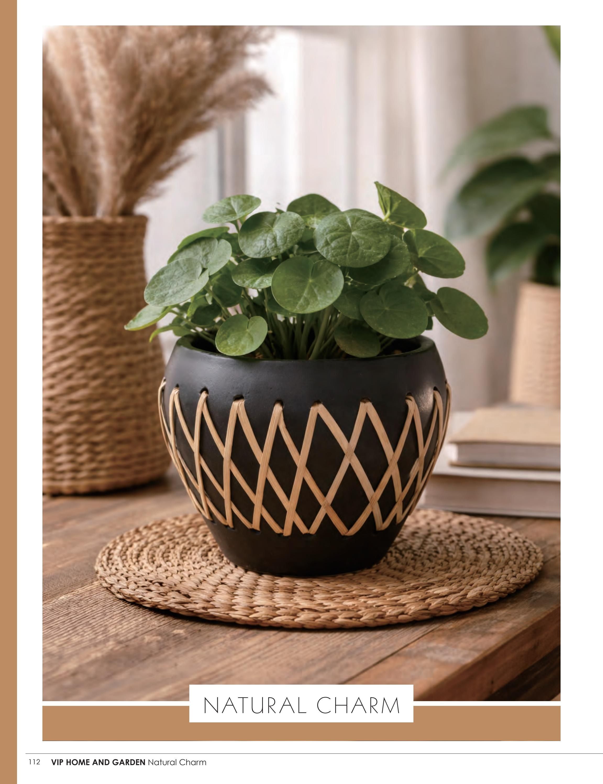 VIP Home & Garden Annual Home and Garden Catalog Weekly Ad January 1 - December 31, 2026