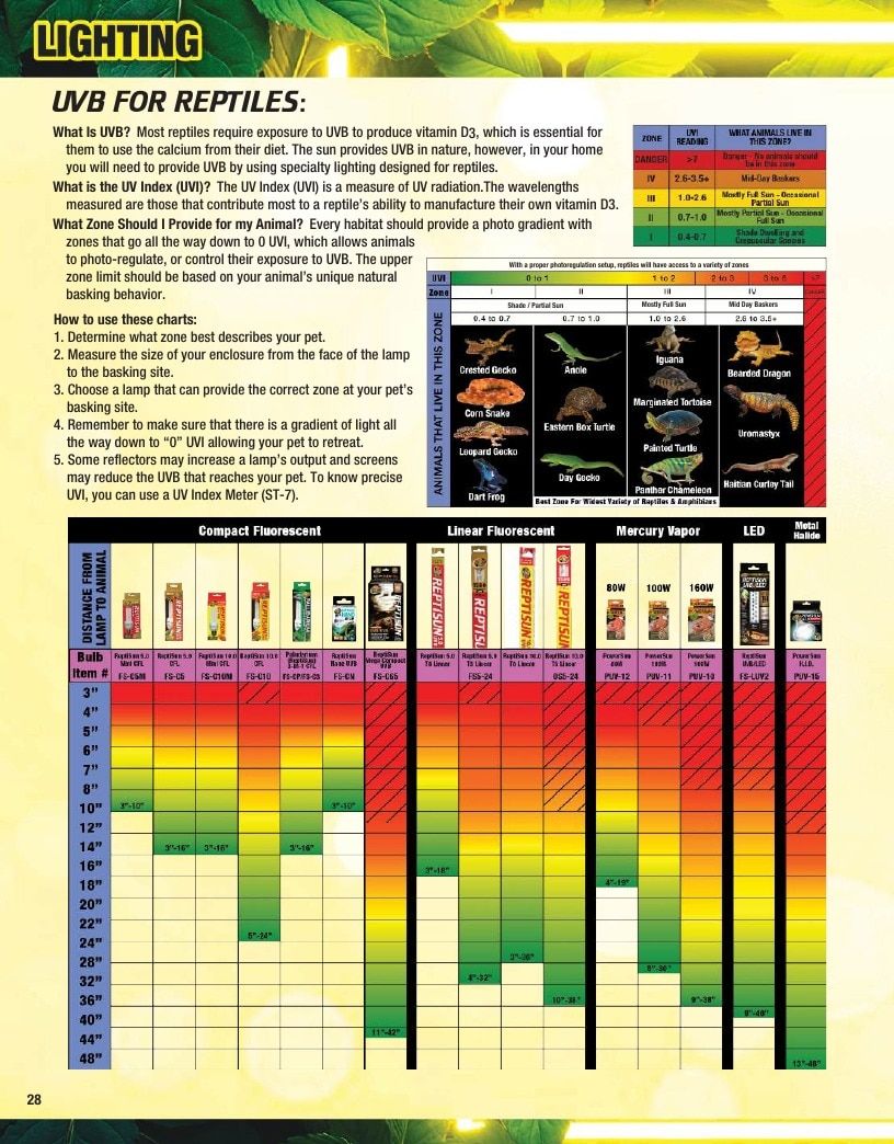 Zoo Med Pet Products Catalog Weekly Ad January 1 - December 31, 2026
