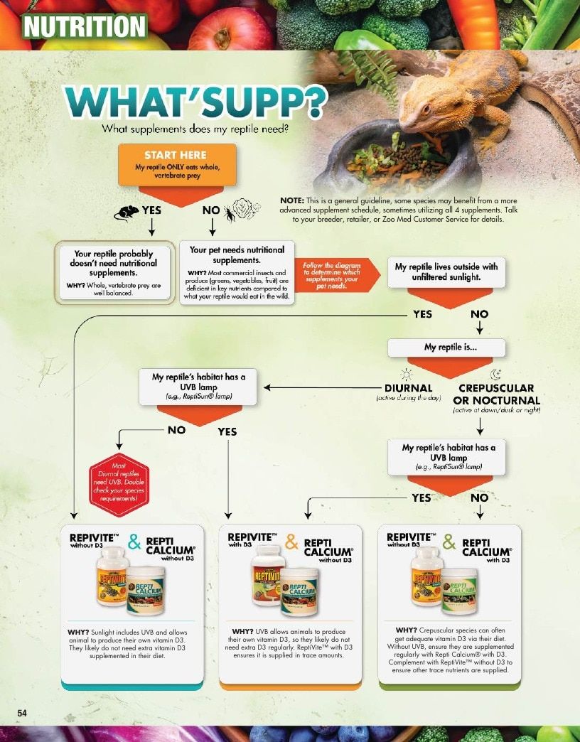 Zoo Med Pet Products Catalog Weekly Ad January 1 - December 31, 2026