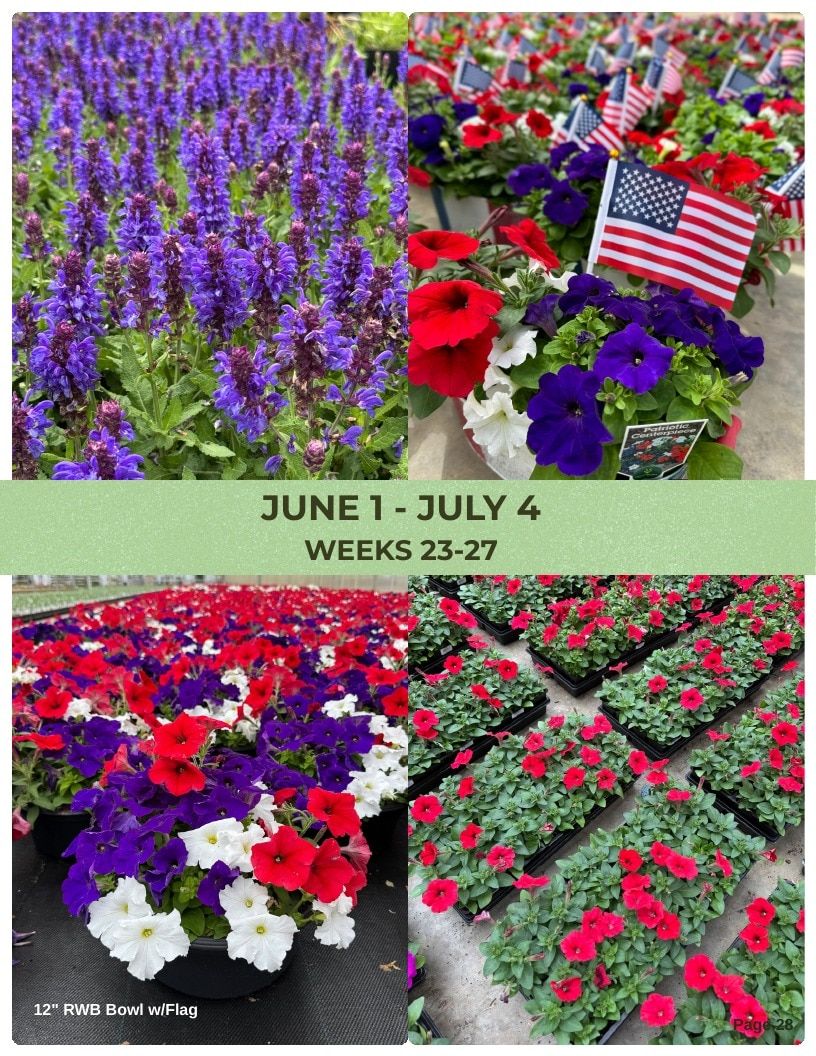 Van Wingerden Greenhouses Wholesale Plants Catalog Weekly Ad January 1 - December 31, 2026