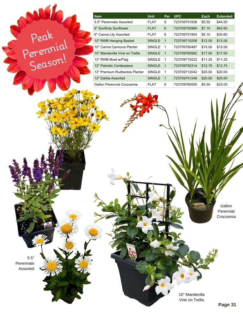 Van Wingerden Greenhouses Wholesale Plants Catalog Weekly Ad January 1 - December 31, 2026