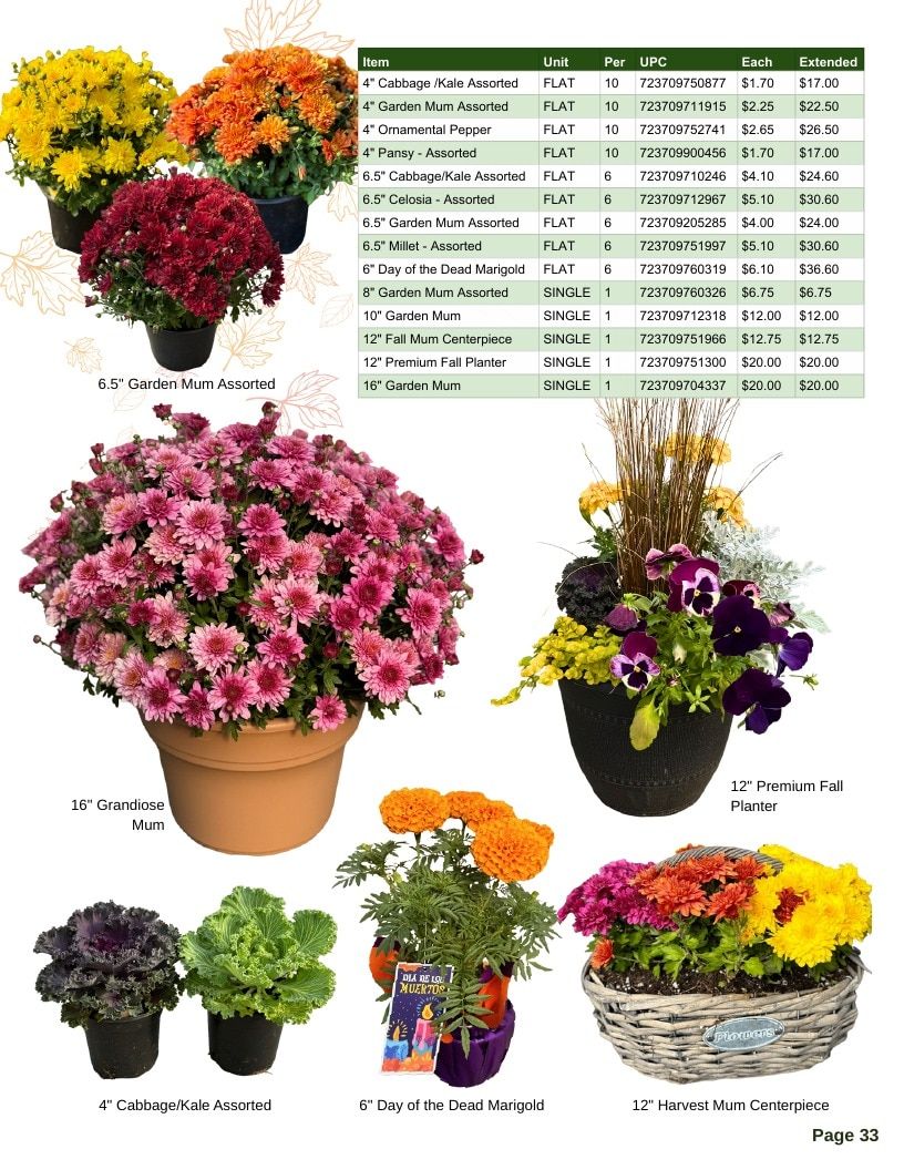 Van Wingerden Greenhouses Wholesale Plants Catalog Weekly Ad January 1 - December 31, 2026