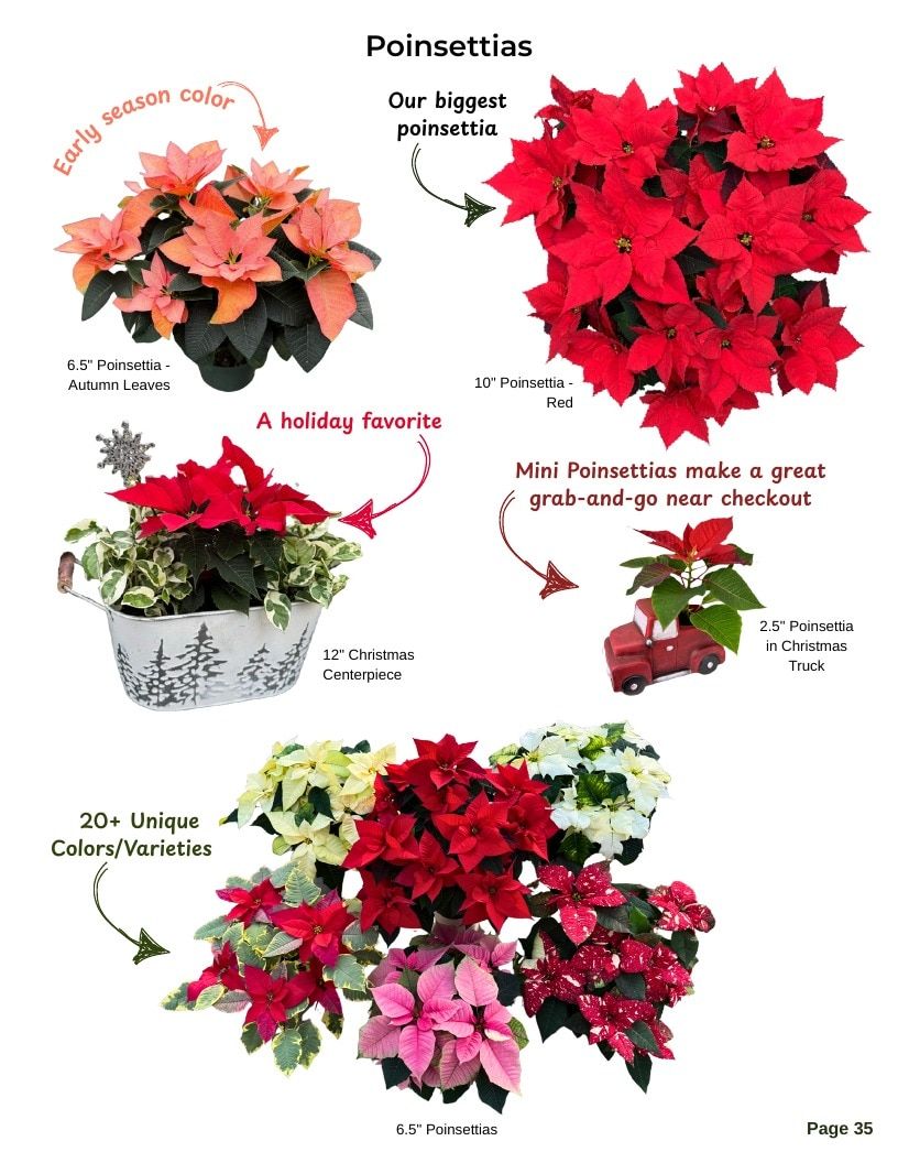 Van Wingerden Greenhouses Wholesale Plants Catalog Weekly Ad January 1 - December 31, 2026