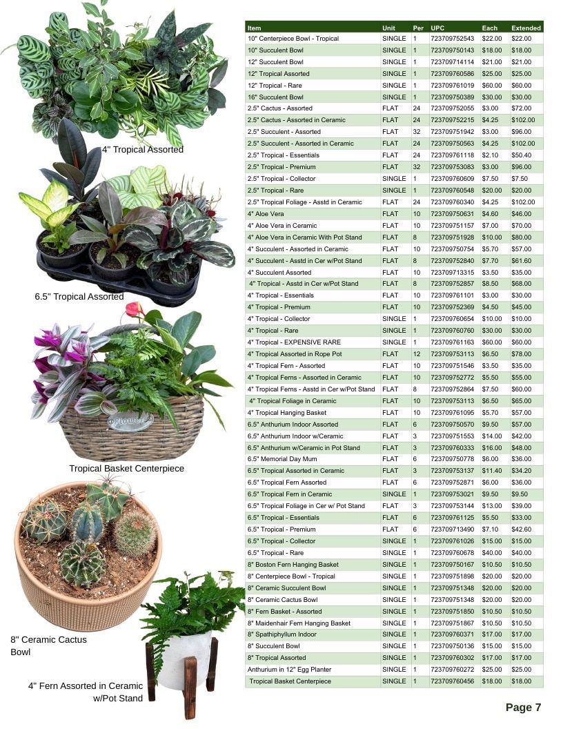 Van Wingerden Greenhouses Wholesale Plants Catalog Weekly Ad January 1 - December 31, 2026