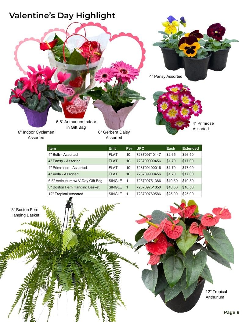 Van Wingerden Greenhouses Wholesale Plants Catalog Weekly Ad January 1 - December 31, 2026