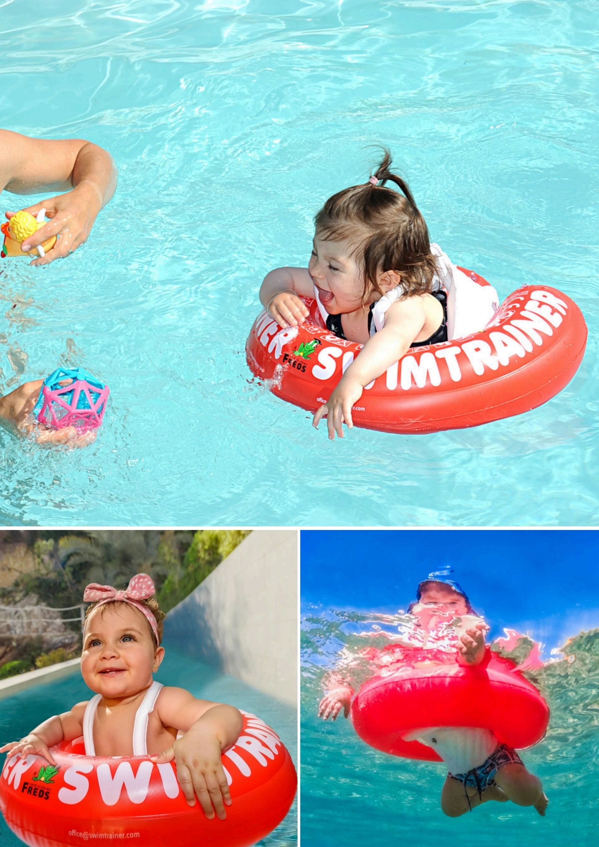 Fred's Swim Academy USA Swim Products Catalog Weekly Ad January 1 - December 31, 2026