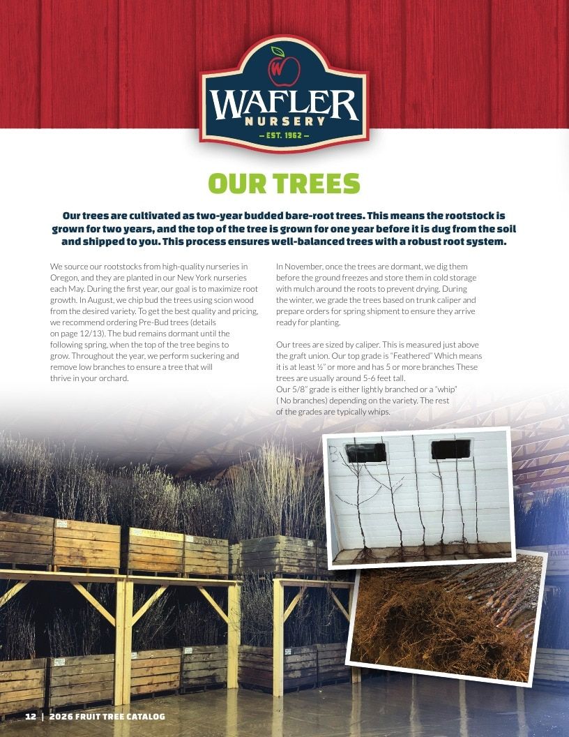 Wafler Nursery Nursery Catalog Weekly Ad January 1 - December 31, 2026
