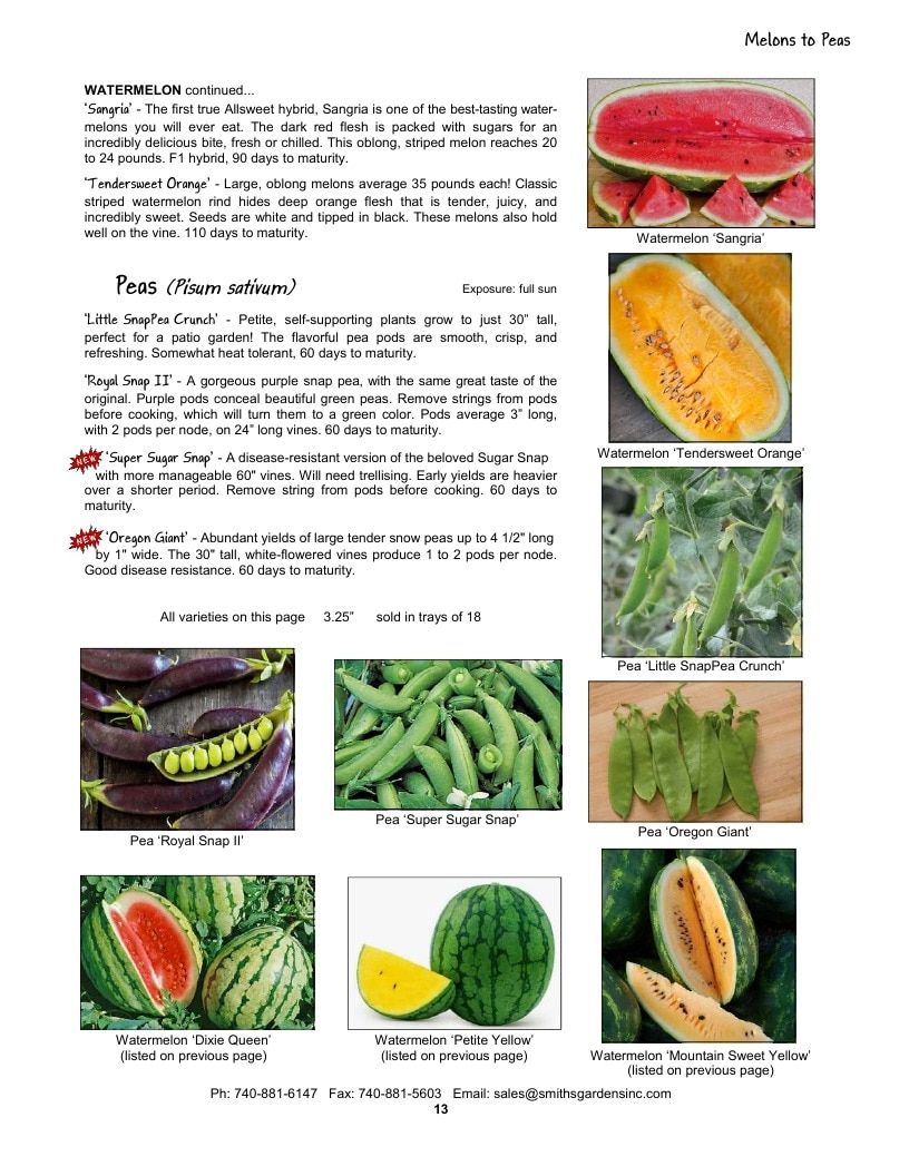 Smith's Gardens Vegetable Catalog Weekly Ad January 1 - December 31, 2026