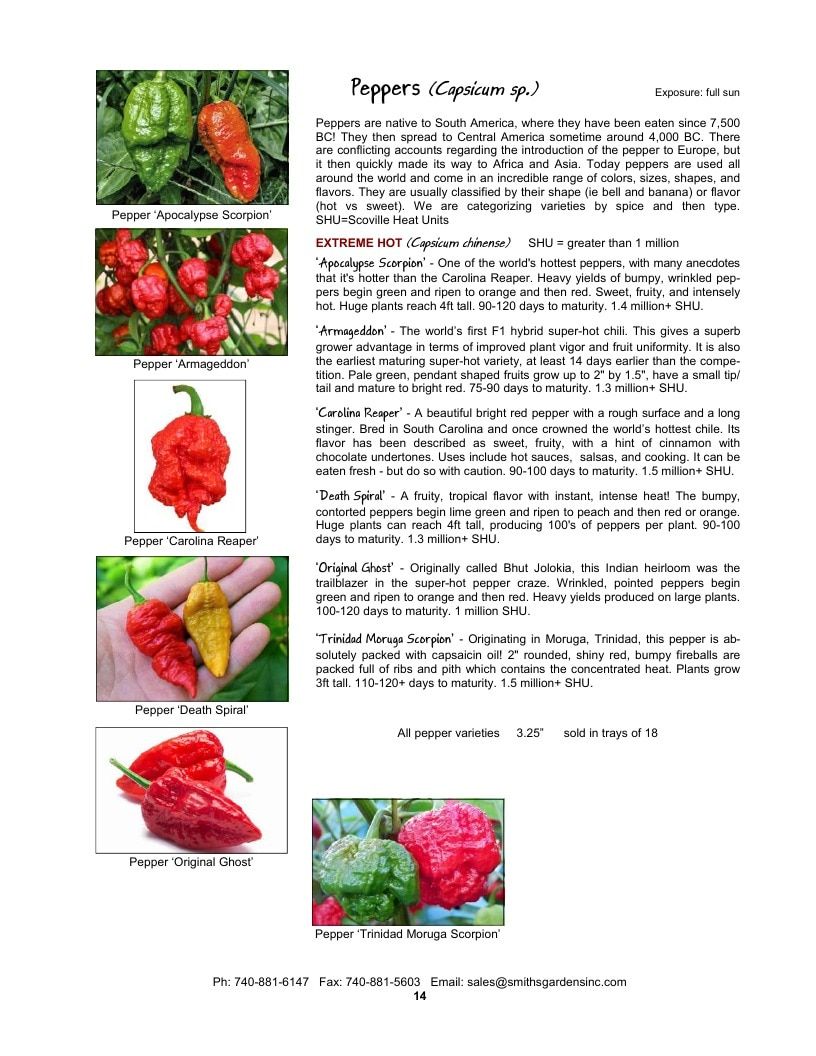 Smith's Gardens Vegetable Catalog Weekly Ad January 1 - December 31, 2026