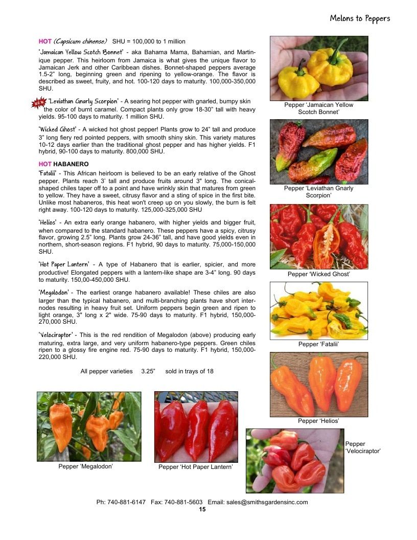 Smith's Gardens Vegetable Catalog Weekly Ad January 1 - December 31, 2026