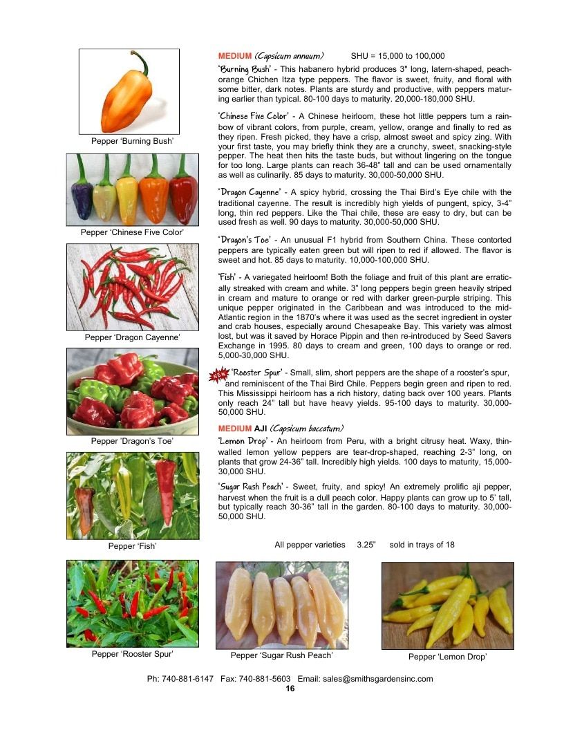 Smith's Gardens Vegetable Catalog Weekly Ad January 1 - December 31, 2026