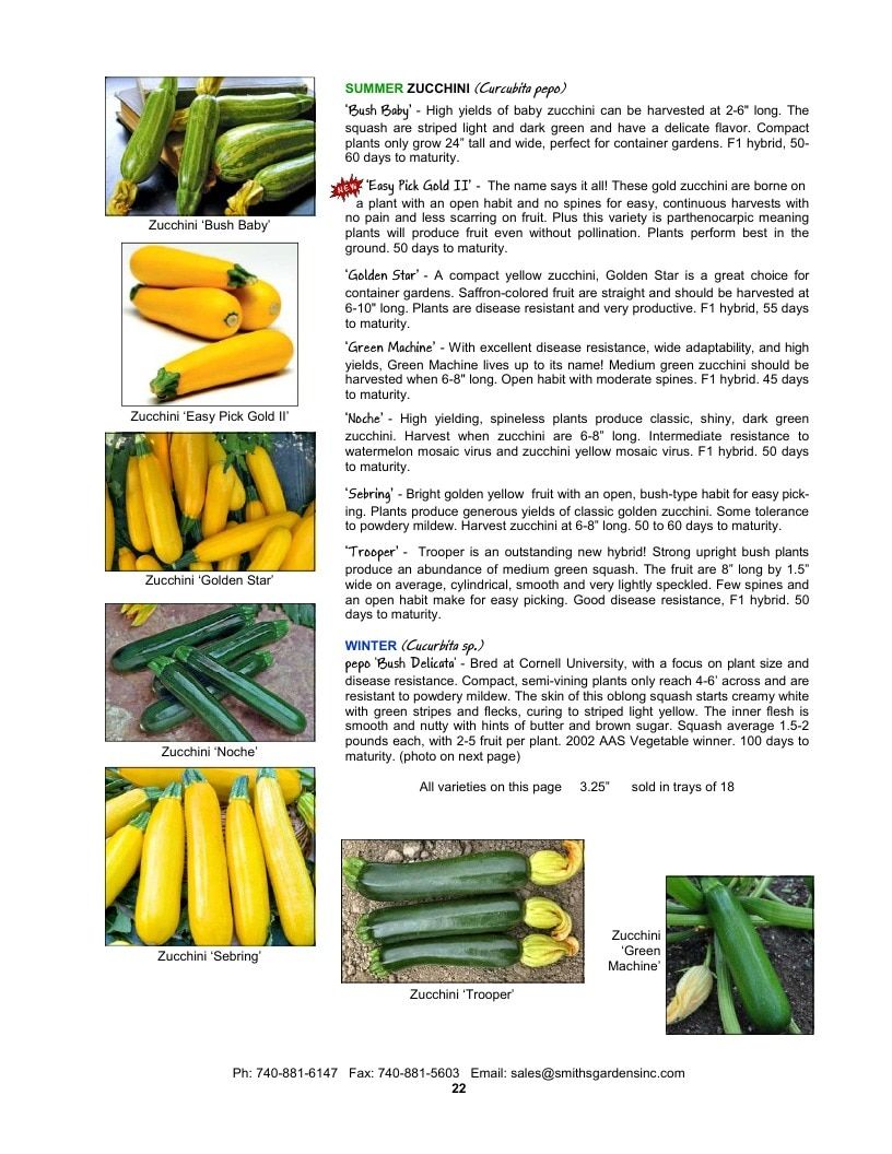 Smith's Gardens Vegetable Catalog Weekly Ad January 1 - December 31, 2026