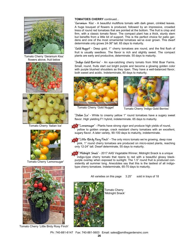 Smith's Gardens Vegetable Catalog Weekly Ad January 1 - December 31, 2026