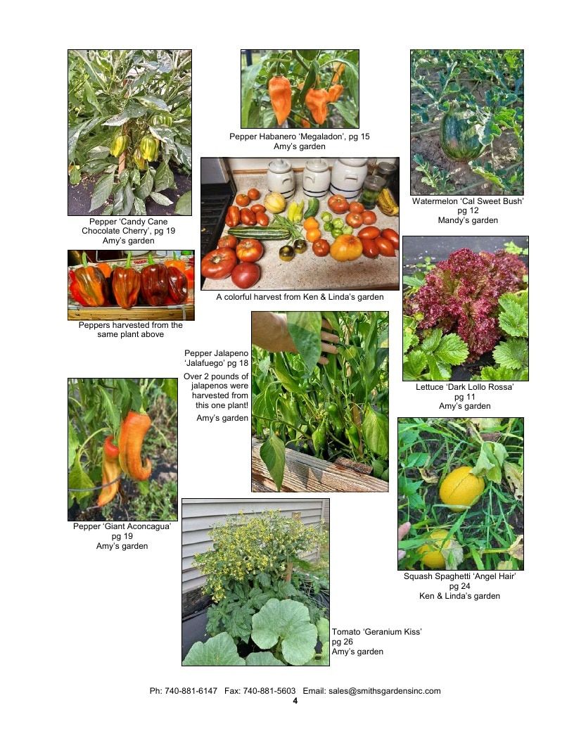 Smith's Gardens Vegetable Catalog Weekly Ad January 1 - December 31, 2026