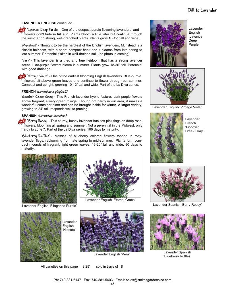 Smith's Gardens Vegetable Catalog Weekly Ad January 1 - December 31, 2026