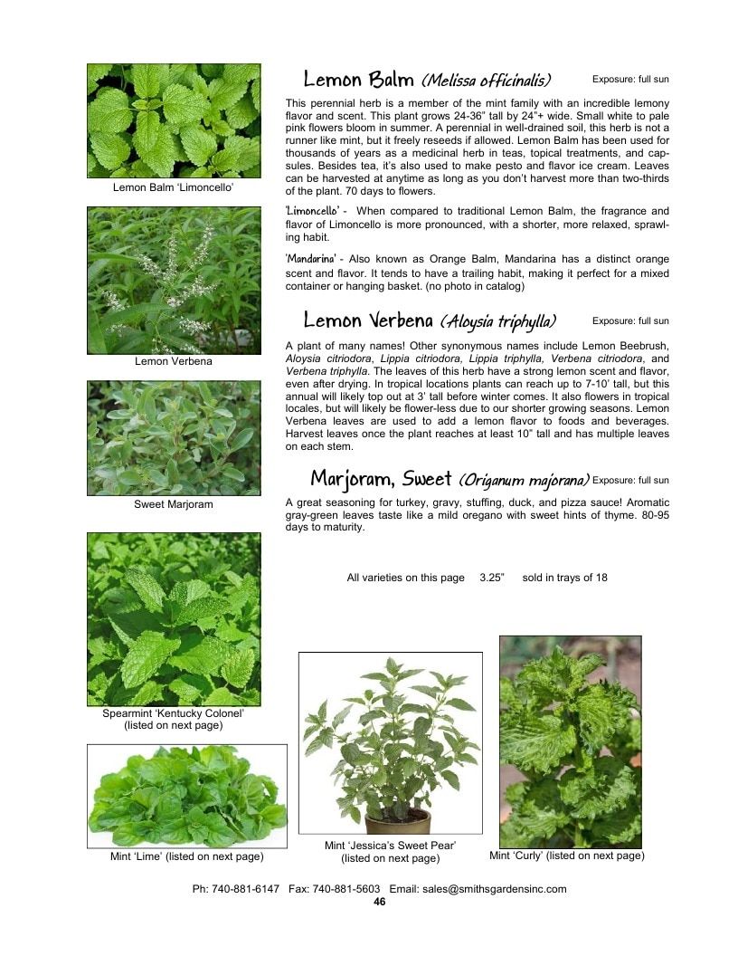 Smith's Gardens Vegetable Catalog Weekly Ad January 1 - December 31, 2026