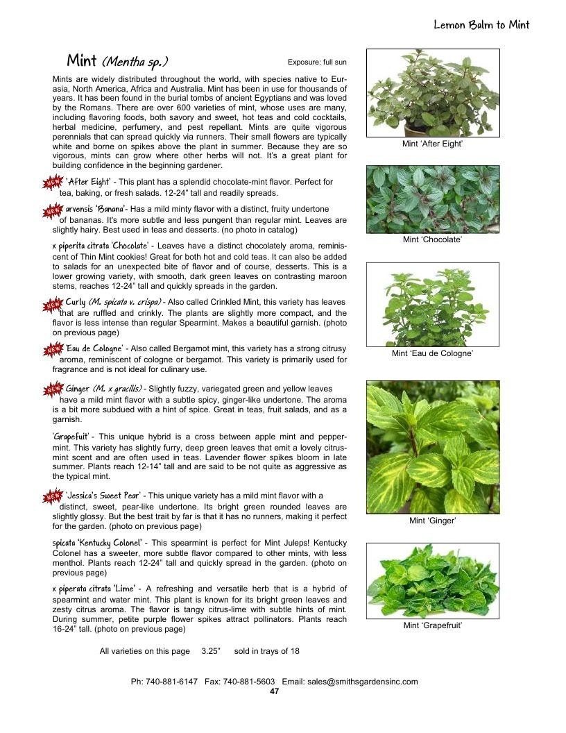 Smith's Gardens Vegetable Catalog Weekly Ad January 1 - December 31, 2026