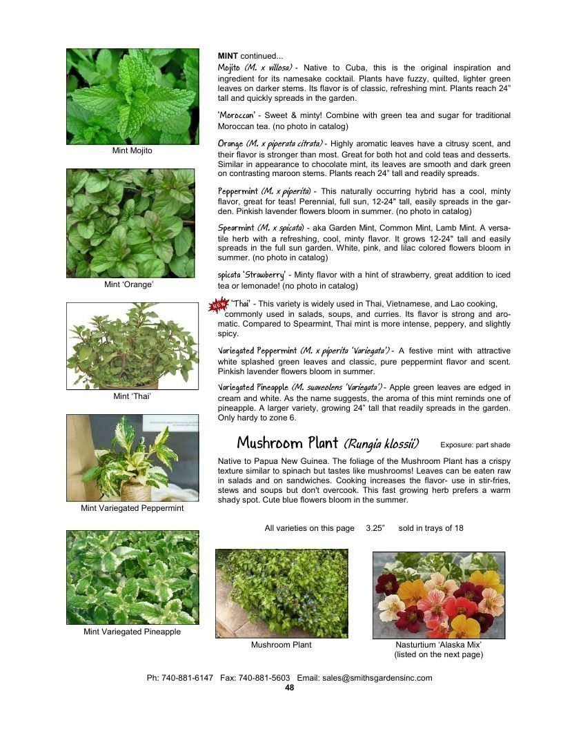 Smith's Gardens Vegetable Catalog Weekly Ad January 1 - December 31, 2026