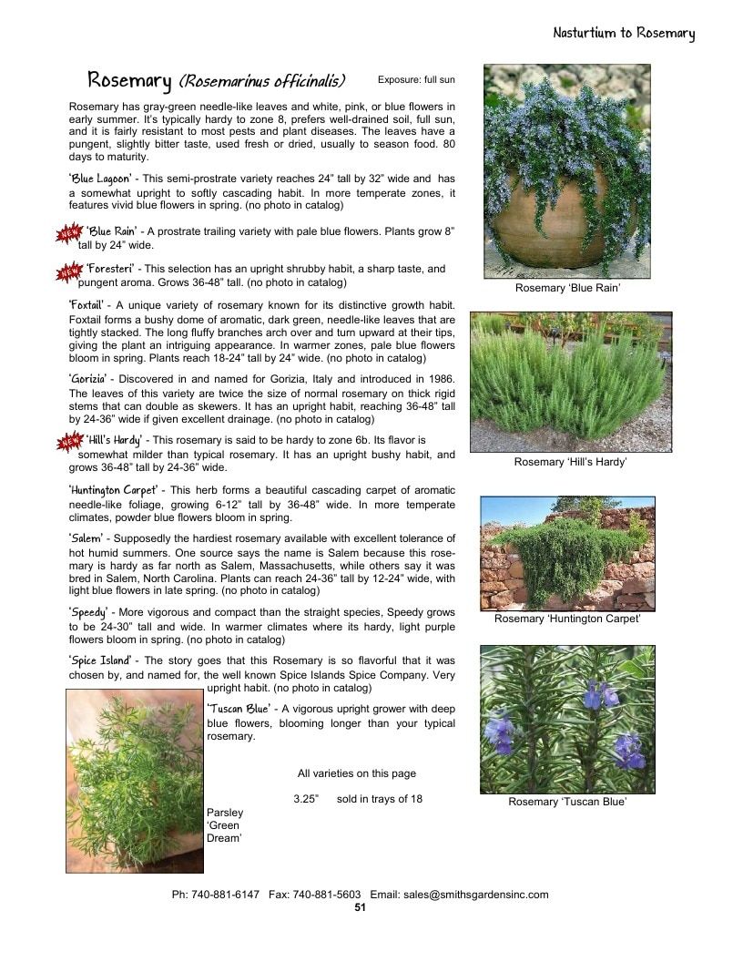 Smith's Gardens Vegetable Catalog Weekly Ad January 1 - December 31, 2026