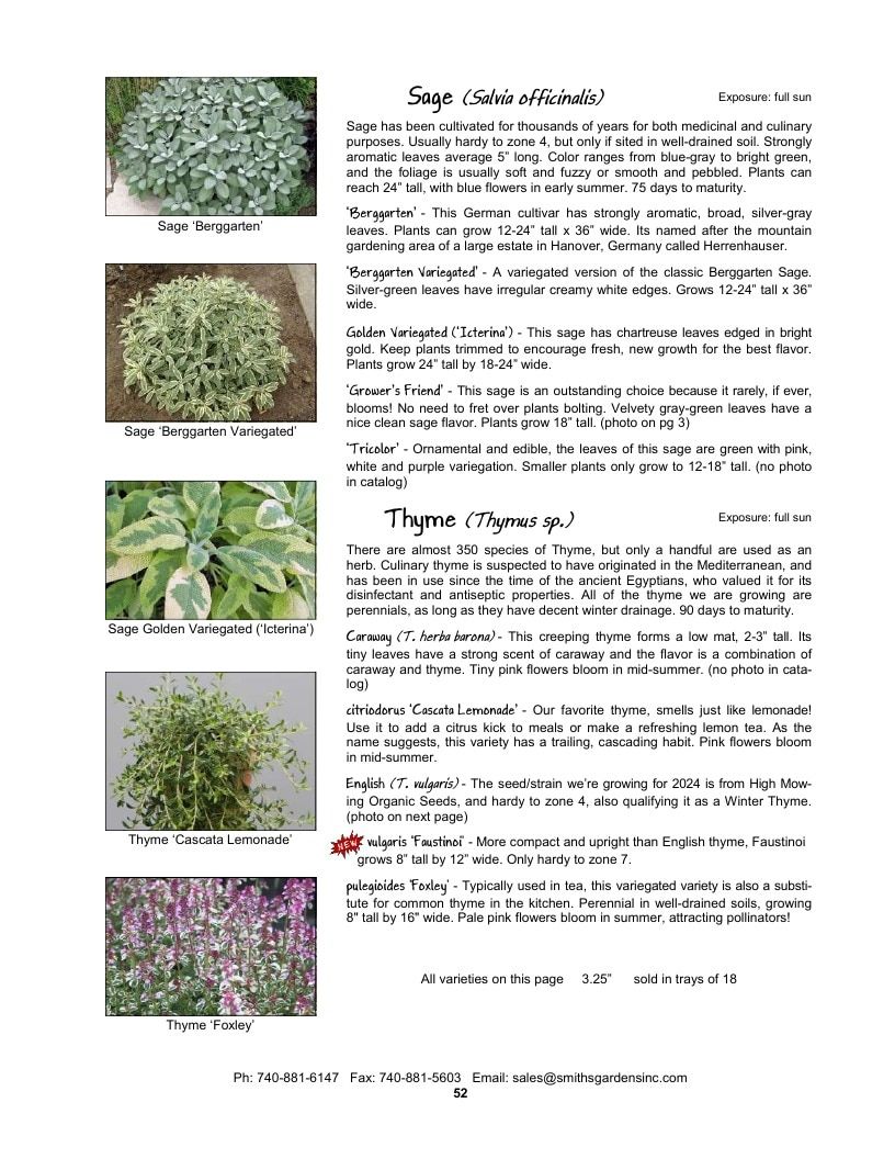 Smith's Gardens Vegetable Catalog Weekly Ad January 1 - December 31, 2026