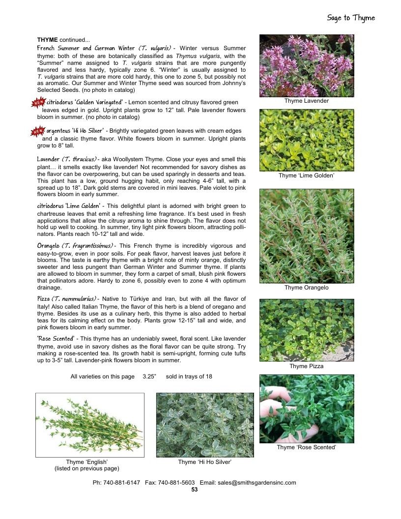Smith's Gardens Vegetable Catalog Weekly Ad January 1 - December 31, 2026