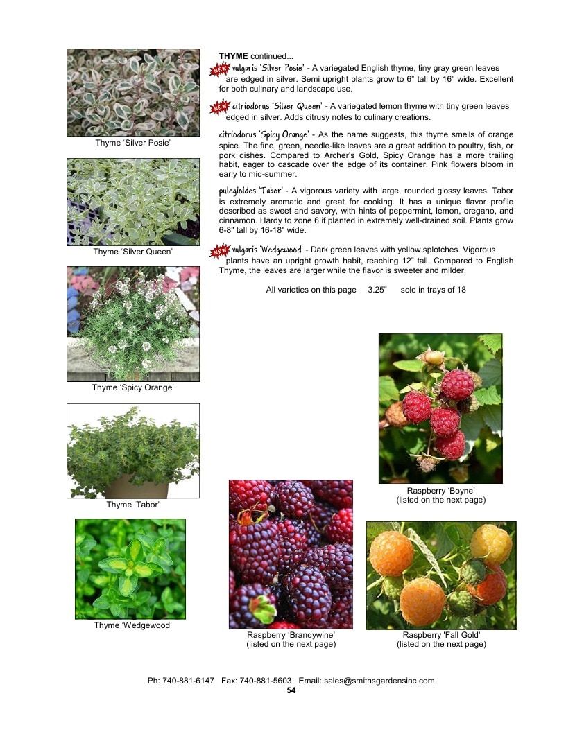 Smith's Gardens Vegetable Catalog Weekly Ad January 1 - December 31, 2026
