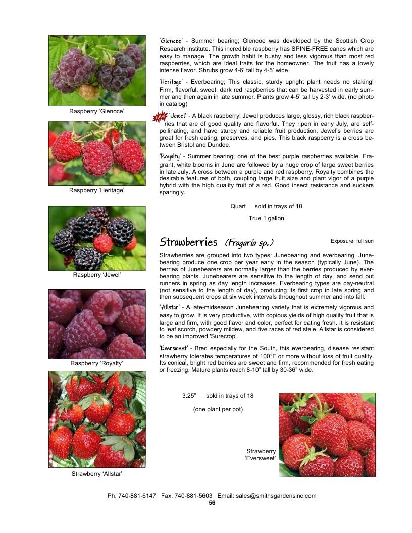 Smith's Gardens Vegetable Catalog Weekly Ad January 1 - December 31, 2026