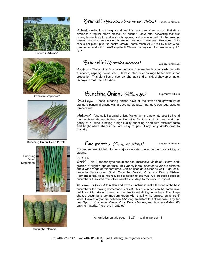 Smith's Gardens Vegetable Catalog Weekly Ad January 1 - December 31, 2026