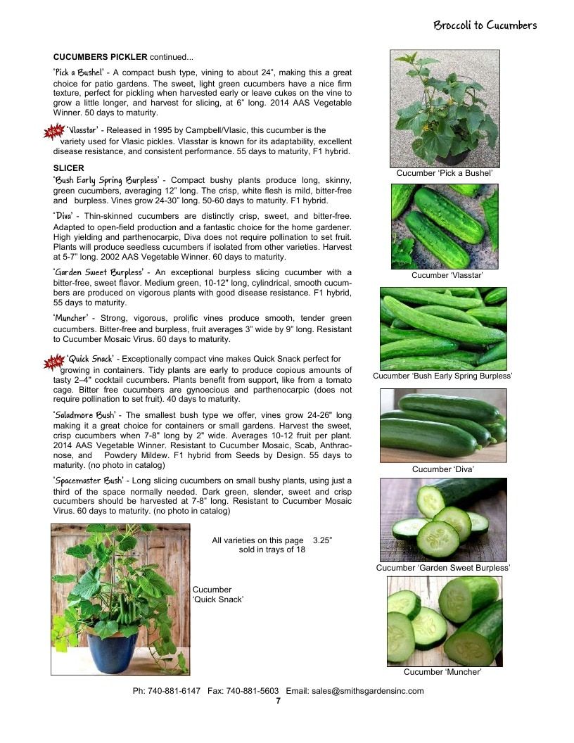 Smith's Gardens Vegetable Catalog Weekly Ad January 1 - December 31, 2026