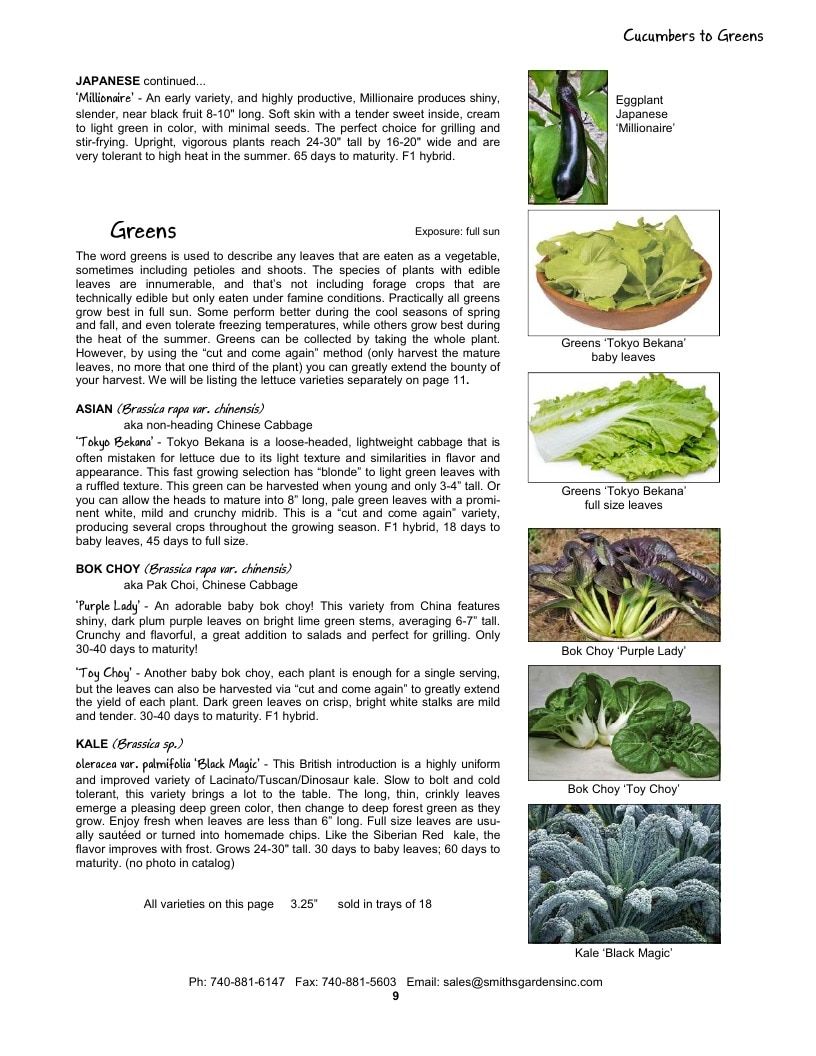 Smith's Gardens Vegetable Catalog Weekly Ad January 1 - December 31, 2026