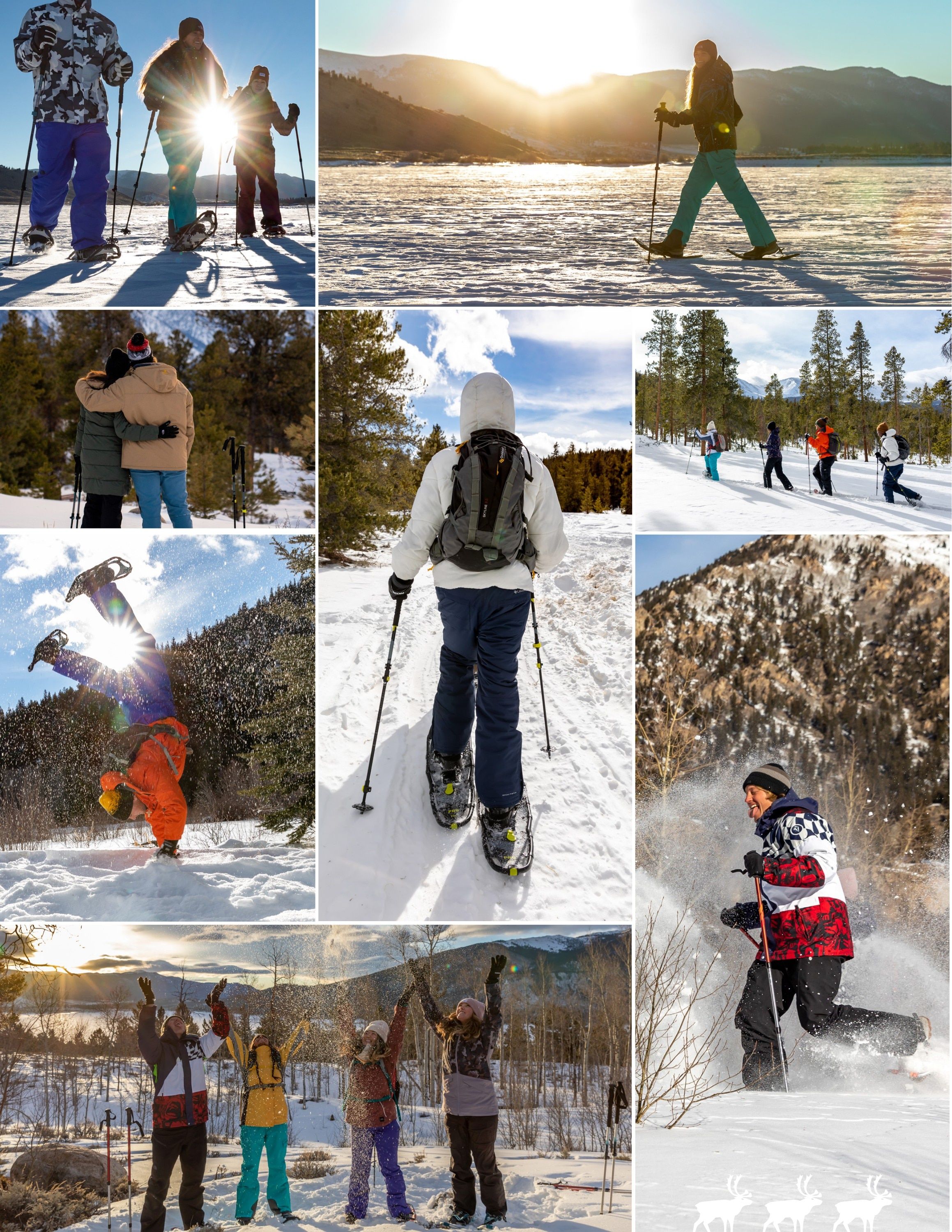 Yukon Charlie's Full Line Catalog Weekly Ad January 1 - December 31, 2026