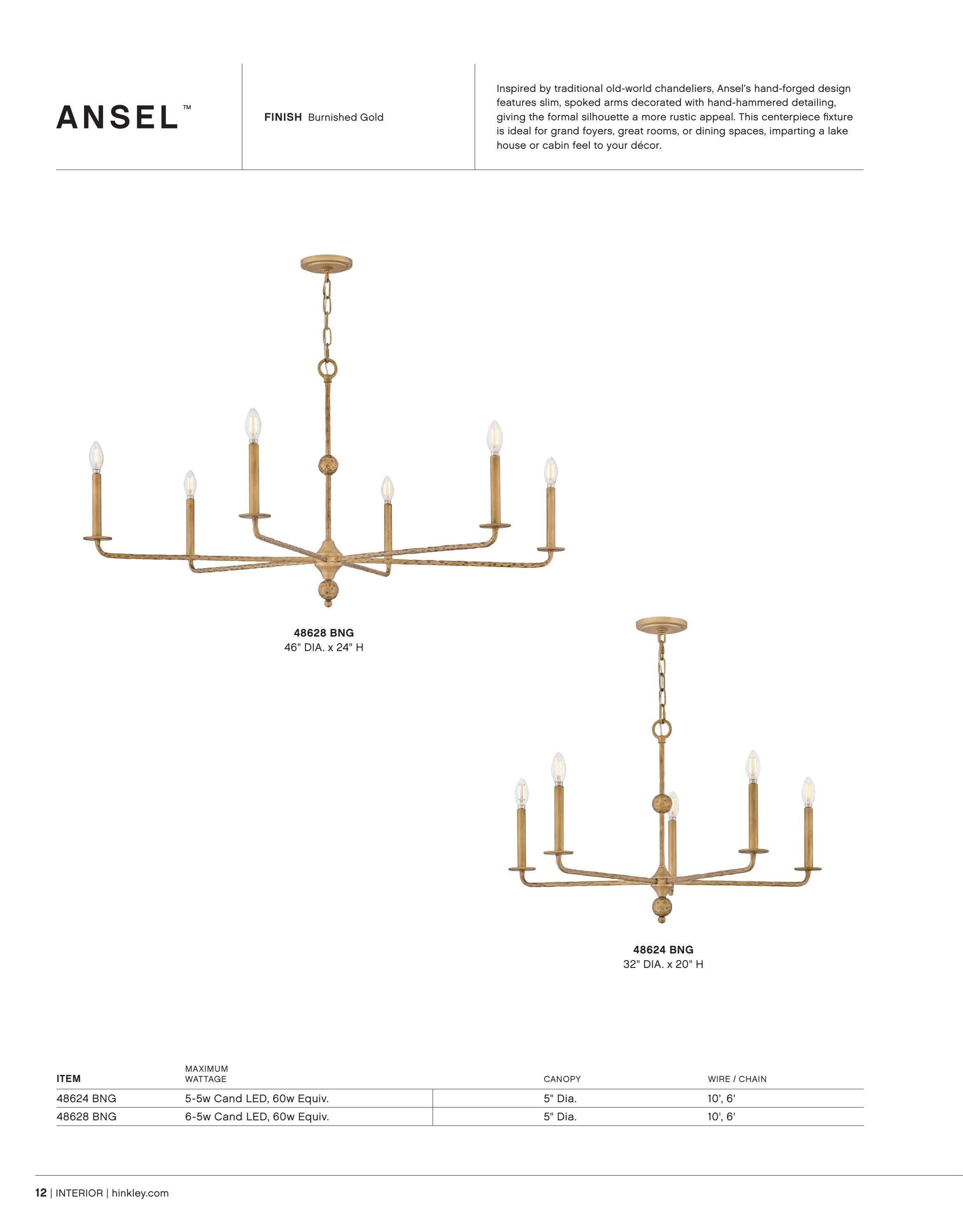 Hinkley Interior and Bath Lighting Weekly Ad January 1 - December 31, 2026