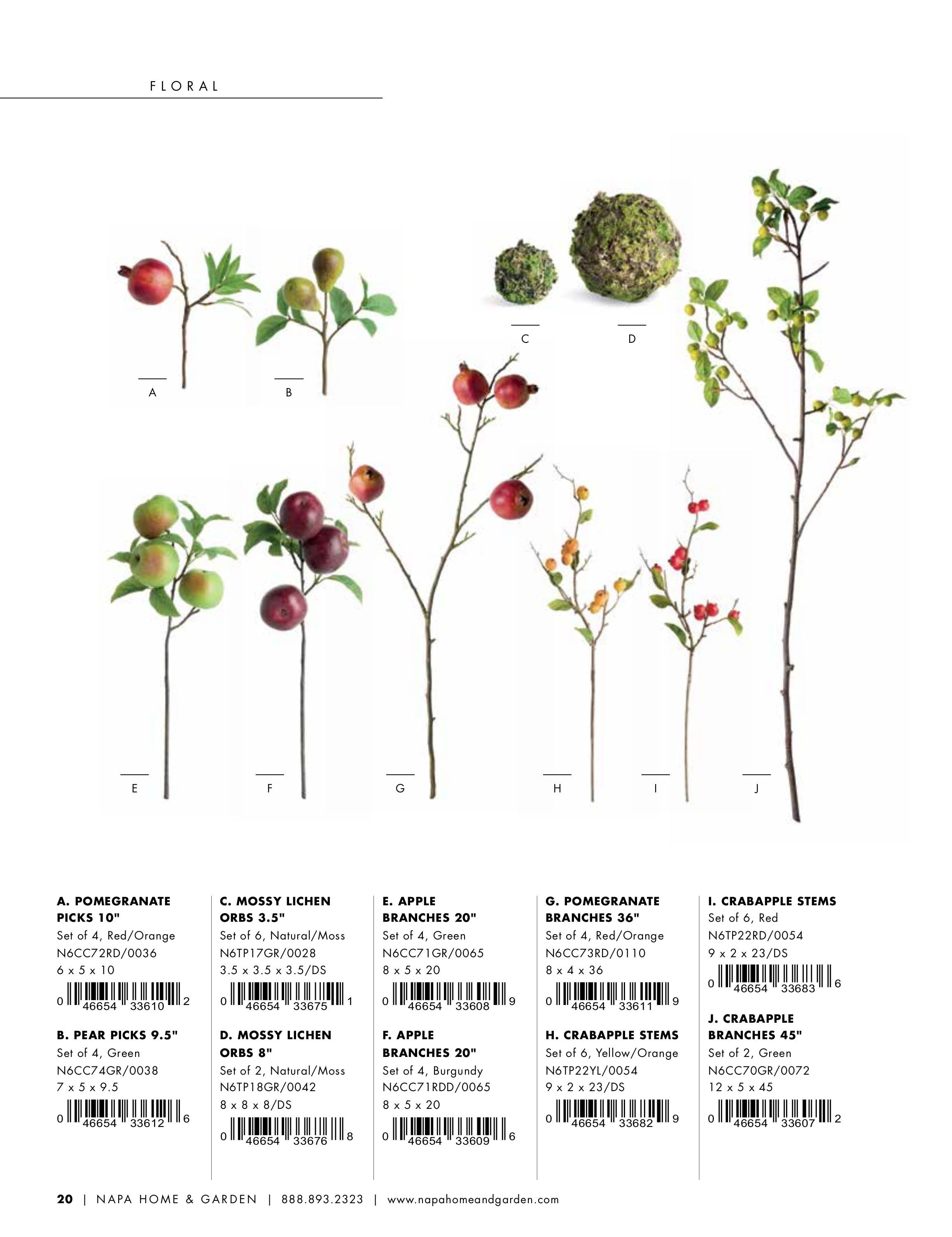 Napa Home & Garden Home and Garden Catalog Weekly Ad January 1 - December 31, 2026