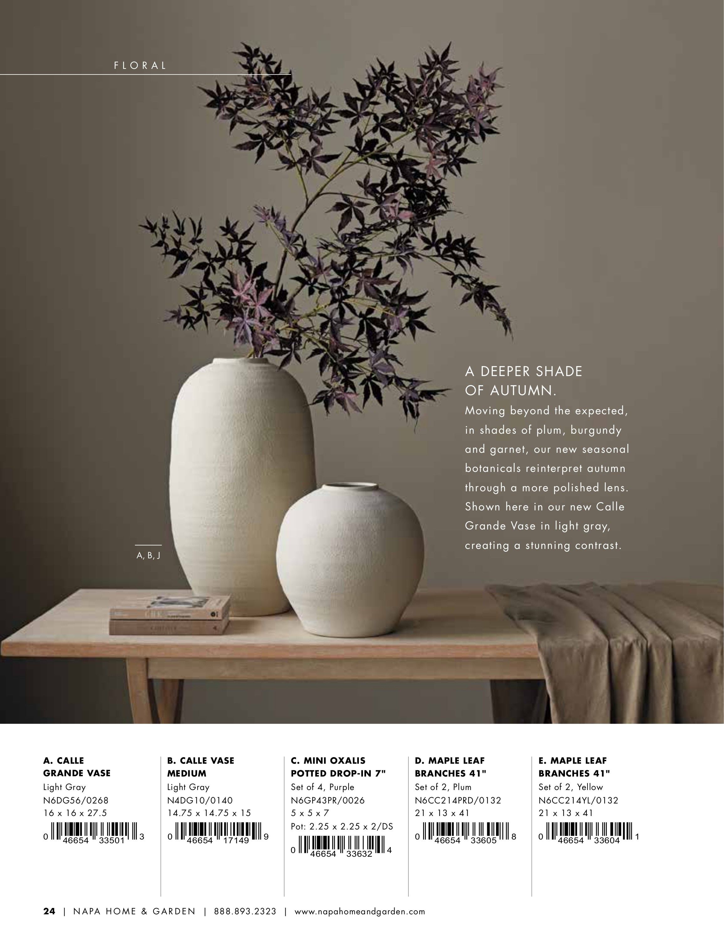 Napa Home & Garden Home and Garden Catalog Weekly Ad January 1 - December 31, 2026