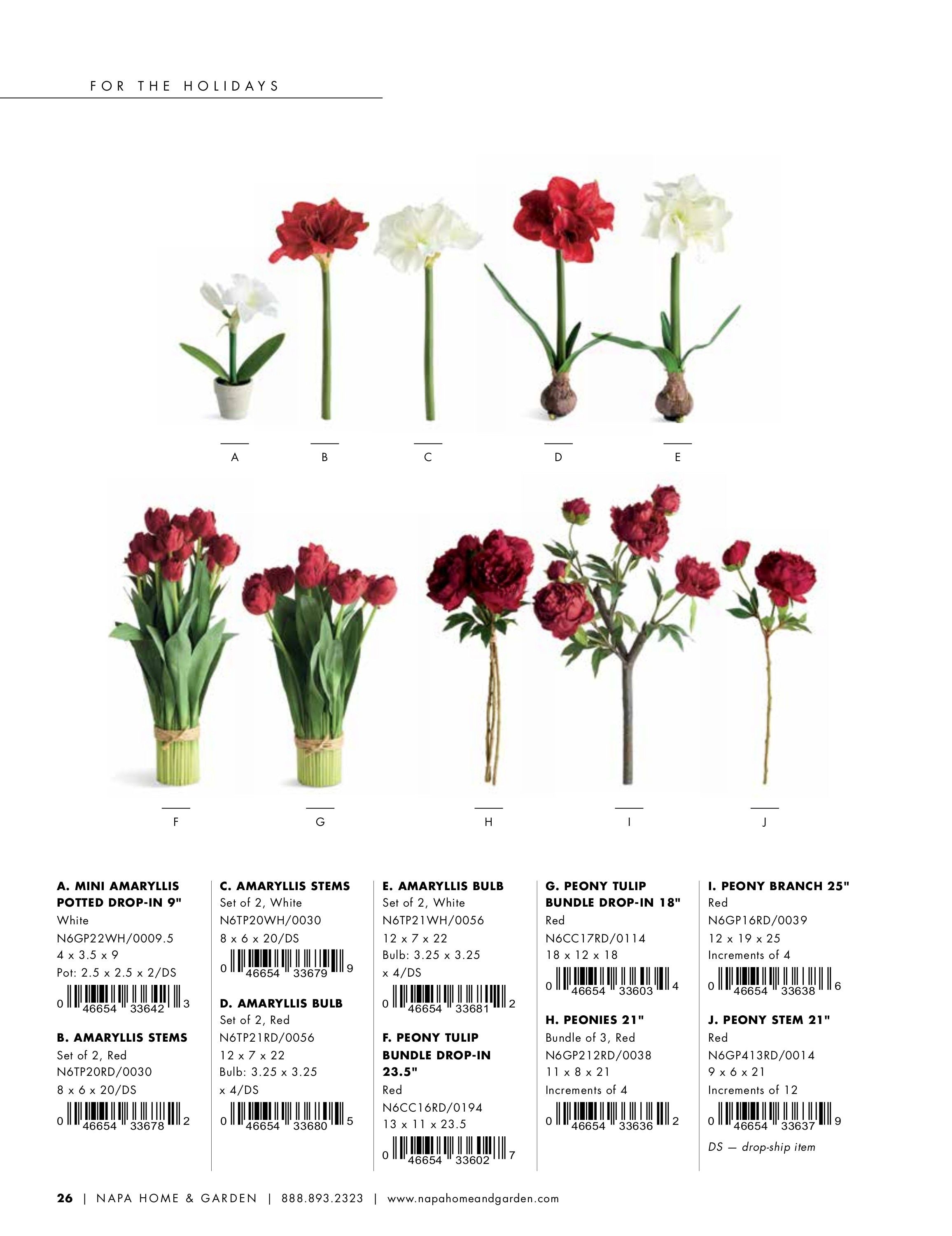 Napa Home & Garden Home and Garden Catalog Weekly Ad January 1 - December 31, 2026