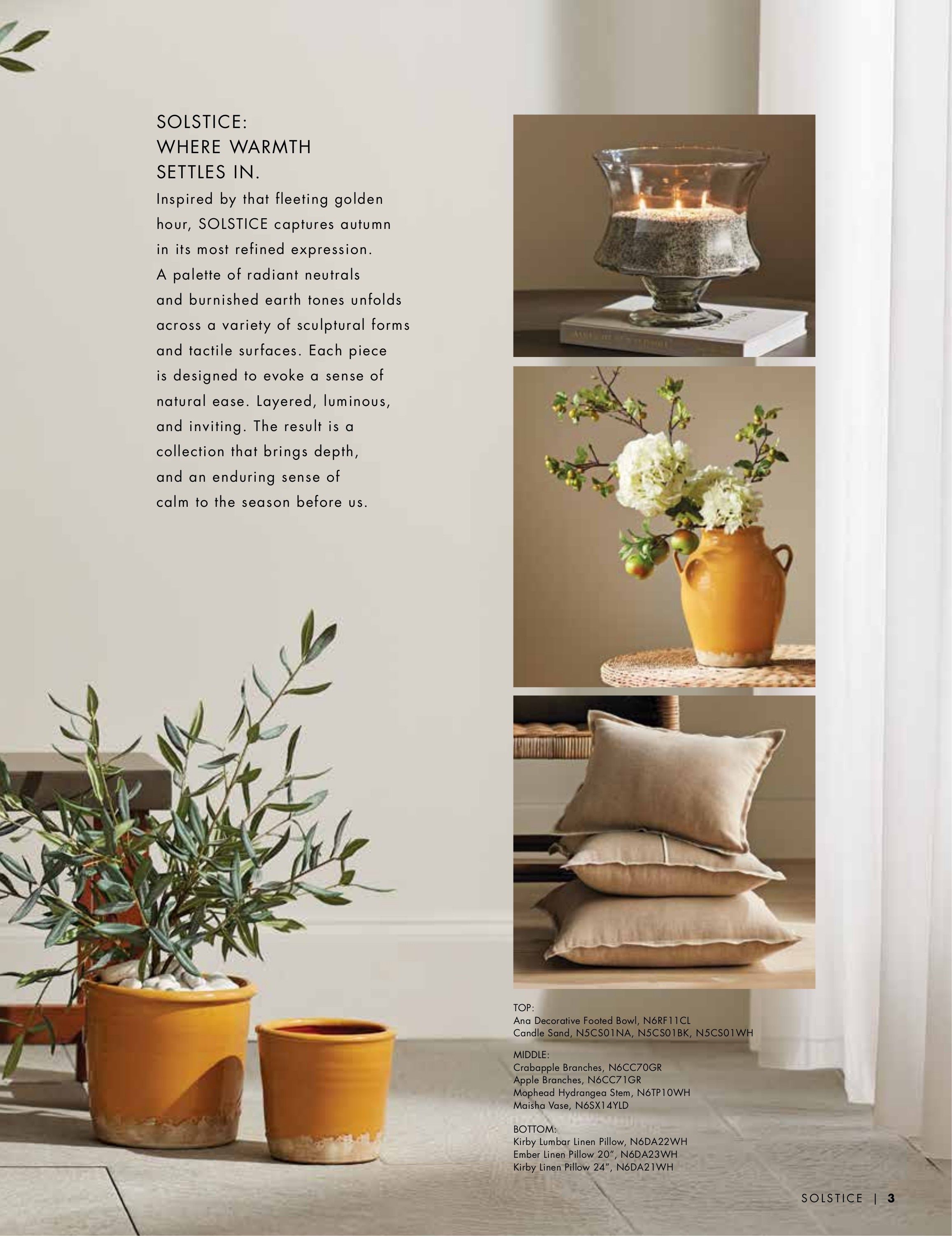 Napa Home & Garden Home and Garden Catalog Weekly Ad January 1 - December 31, 2026