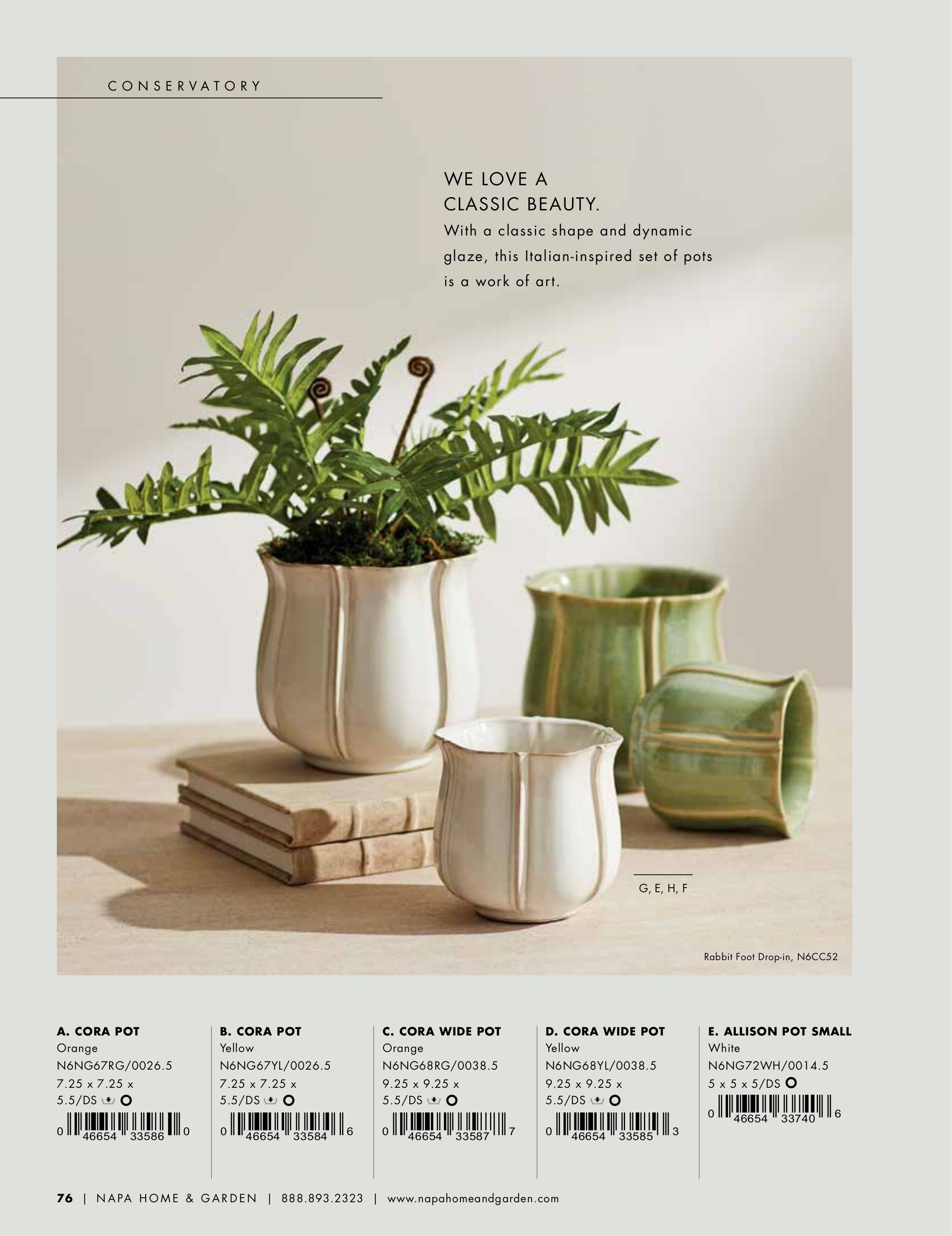 Napa Home & Garden Home and Garden Catalog Weekly Ad January 1 - December 31, 2026