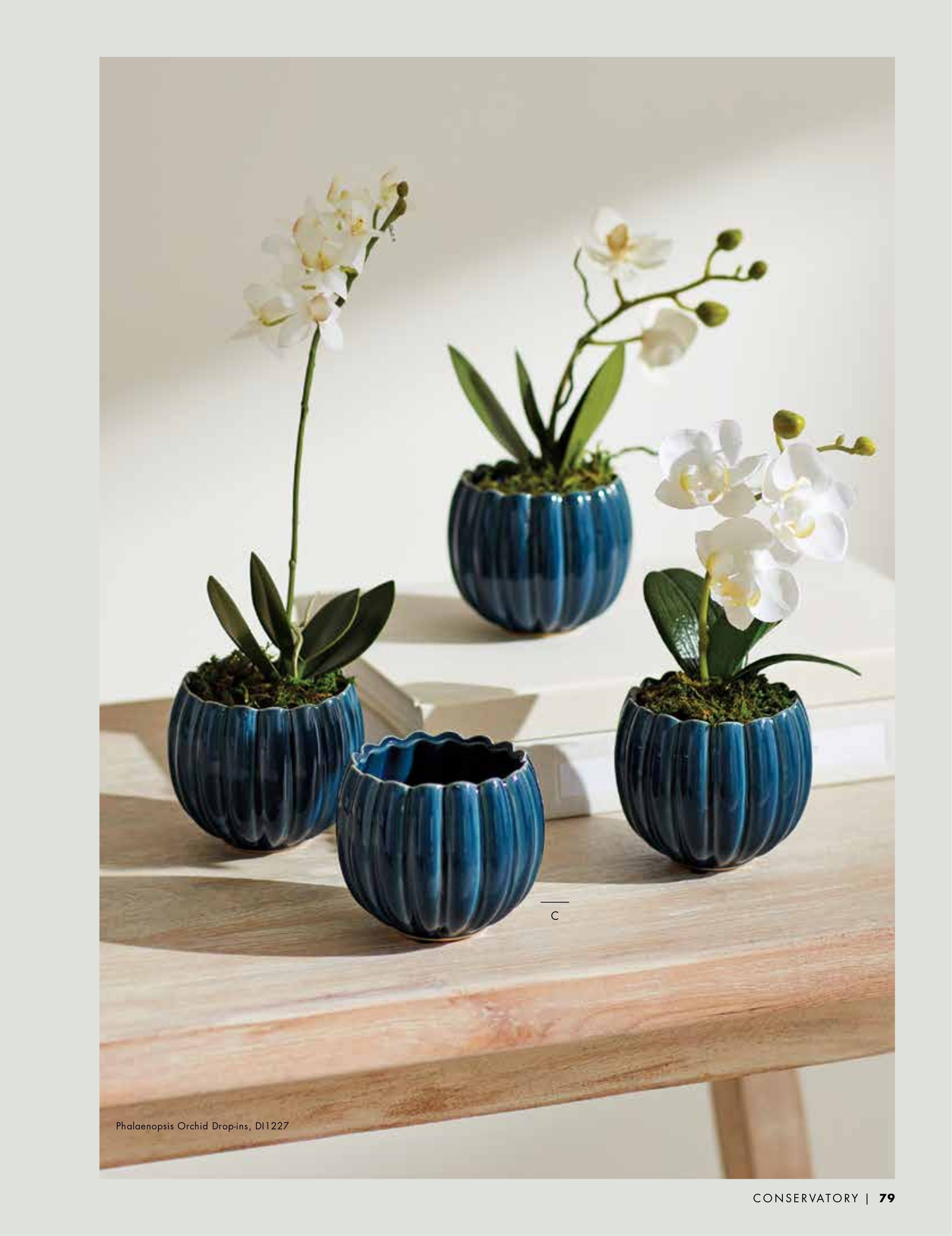 Napa Home & Garden Home and Garden Catalog Weekly Ad January 1 - December 31, 2026