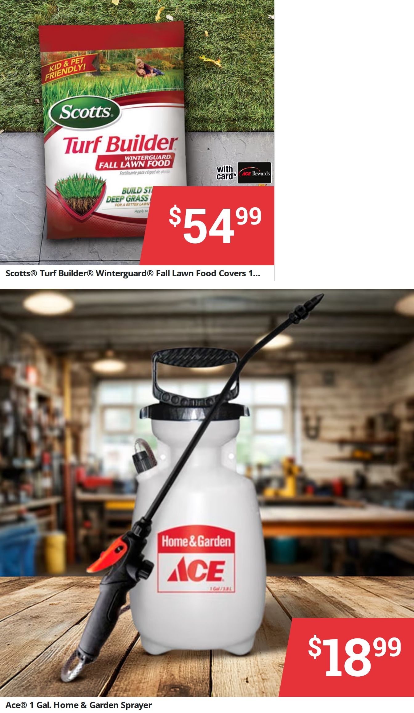 Aberdeen Ace Hardware Weekly Ad September 1 - 14, 2026