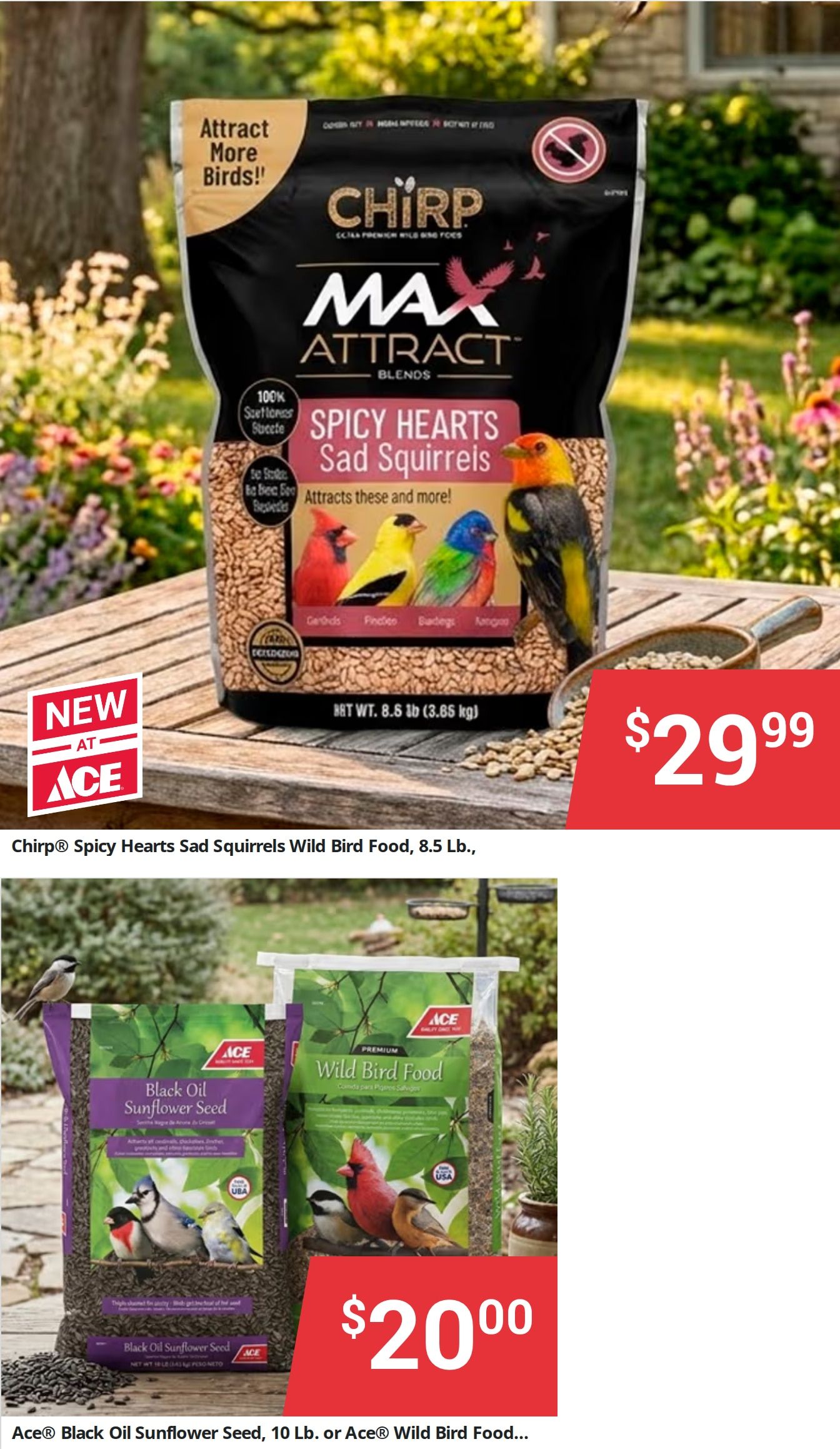 Aberdeen Ace Hardware Weekly Ad September 1 - 14, 2026