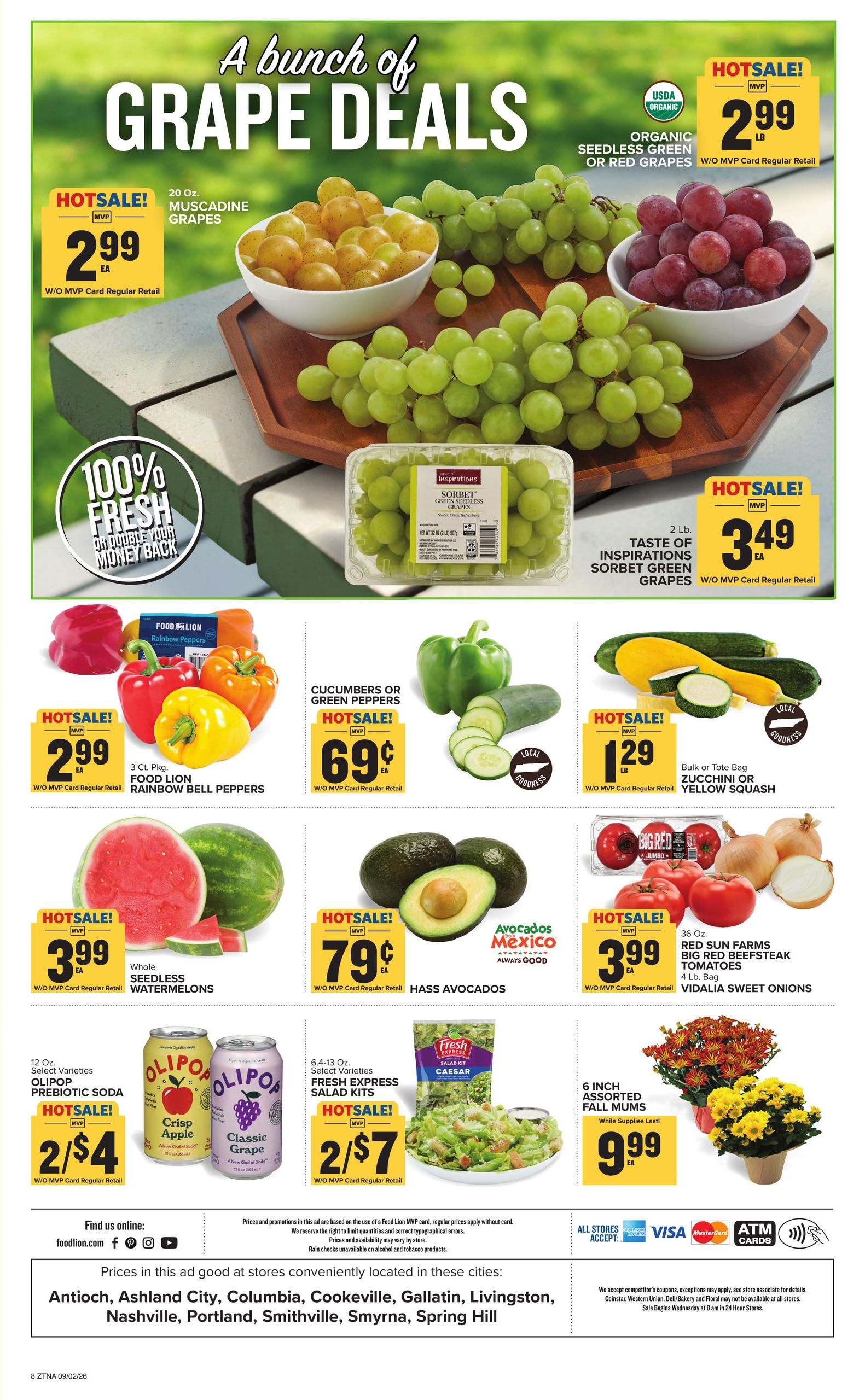 Food Lion (Burkesville Area, KY) Weekly Ad September 2 - 8, 2026
